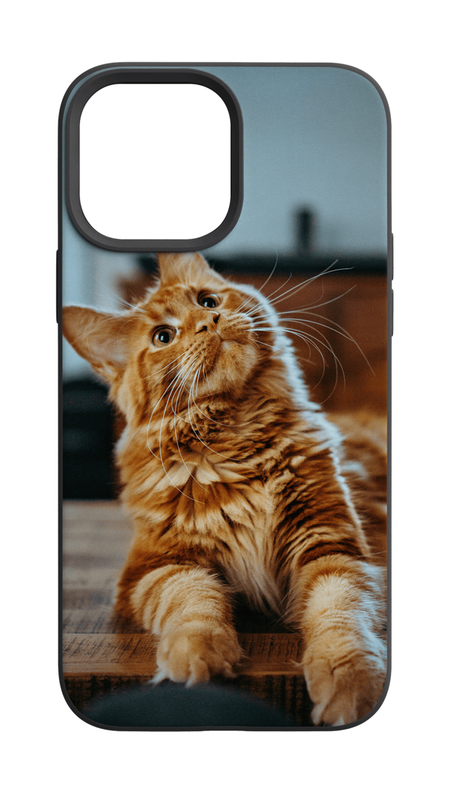 Custom iPhone case with your photo